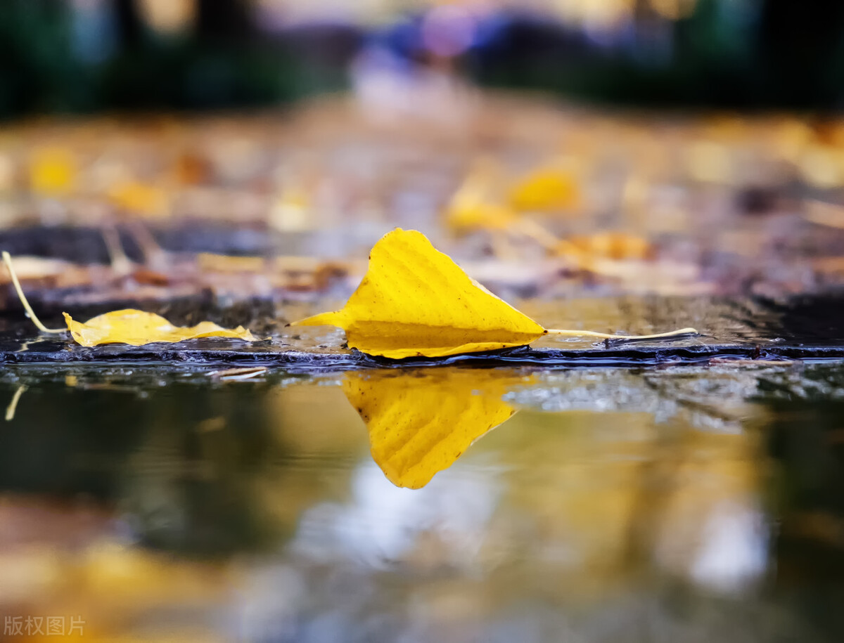 此时，我在想江南是否在下雨