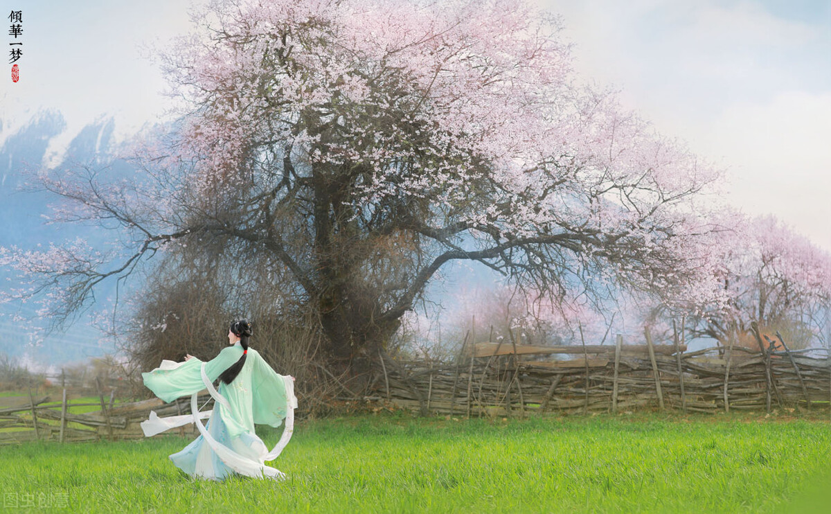 又是一年枫叶红