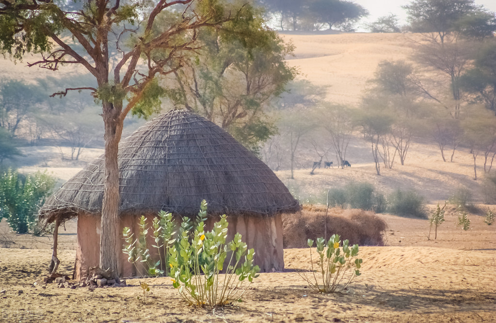 相约在枫叶上写秋语