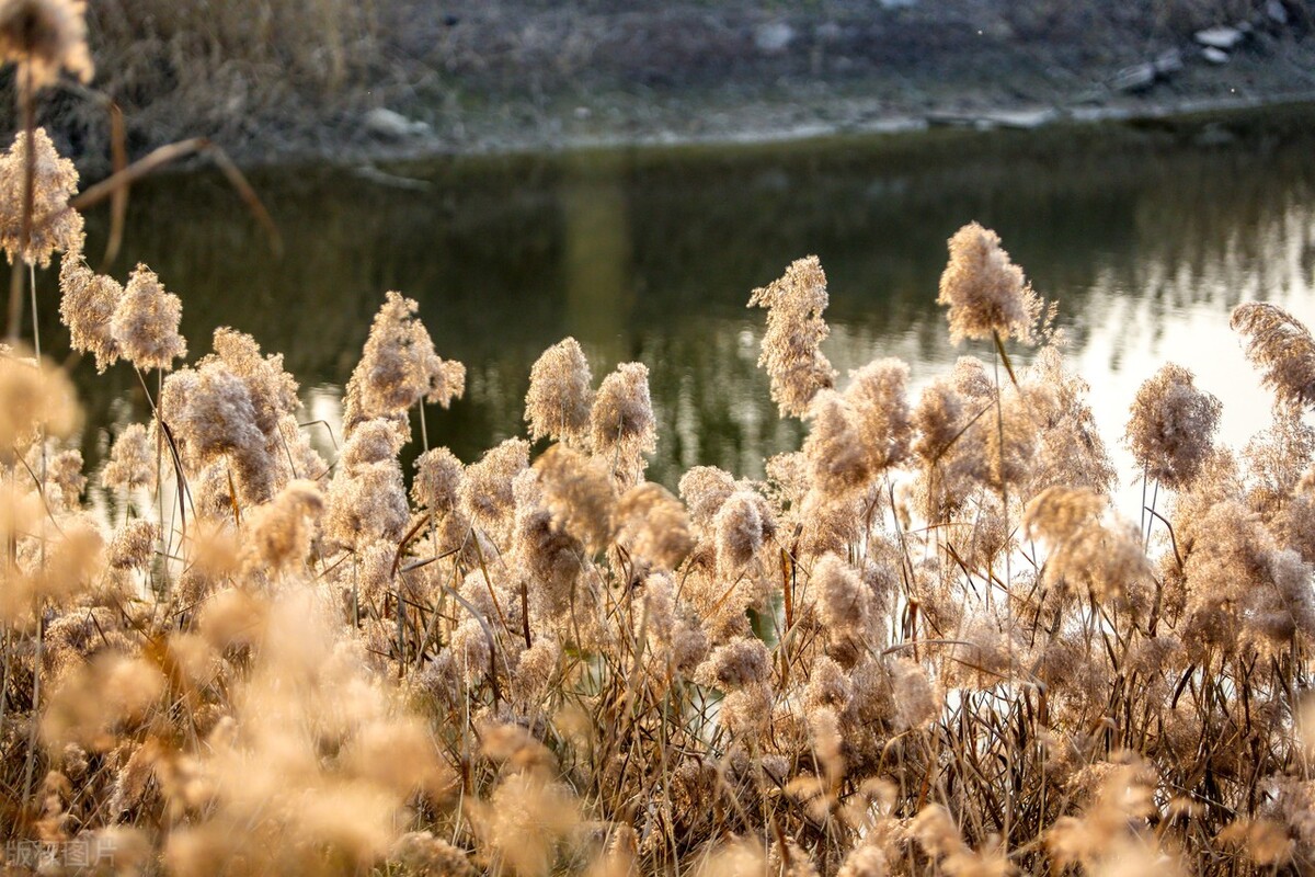 错过也是一种幸福！（经典）