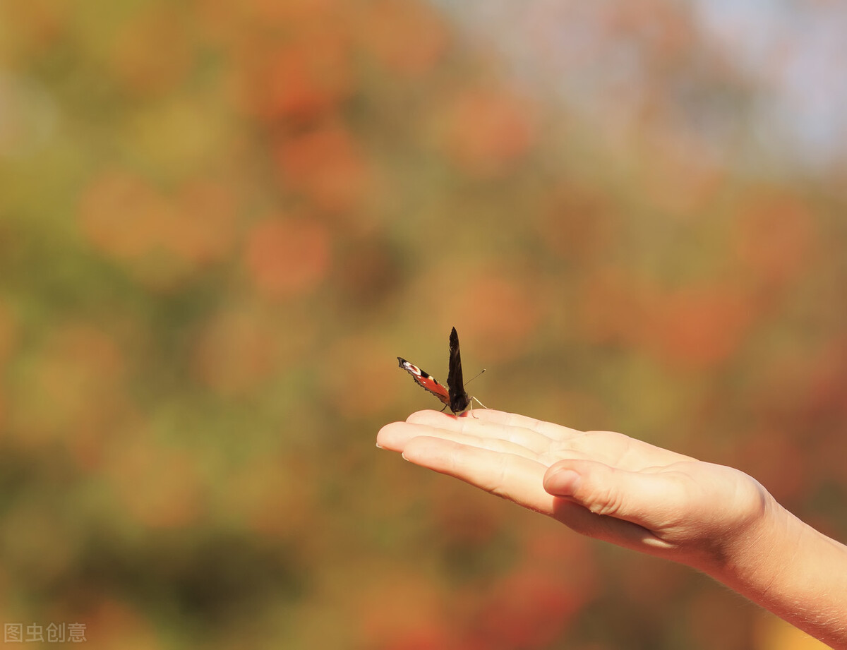 我的生命中有你的影子