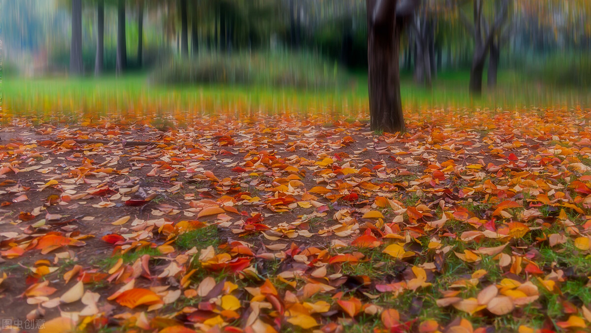 美文欣赏：春如画，秋如诗