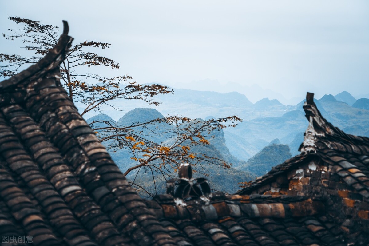 青未了｜春如画，秋如诗