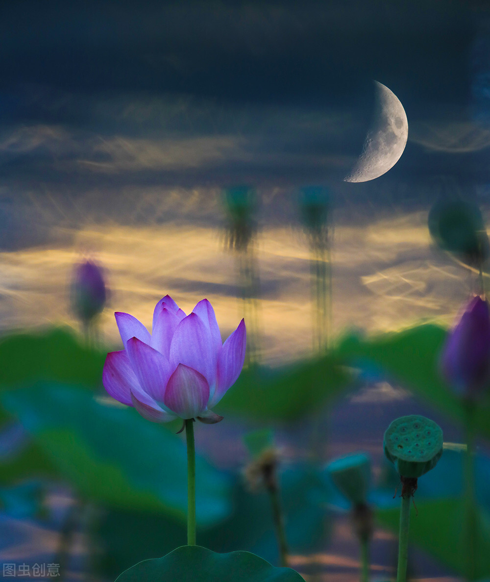 多想告诉你，我还在原地等你