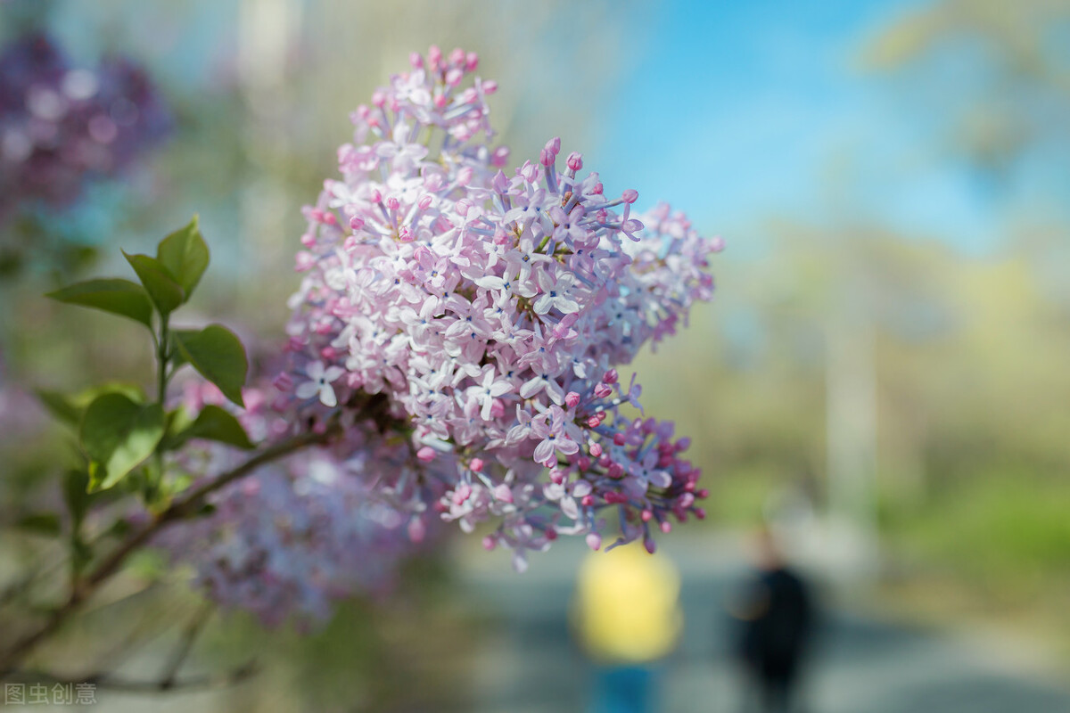 不管你的生活多么糟糕，都要记得微笑
