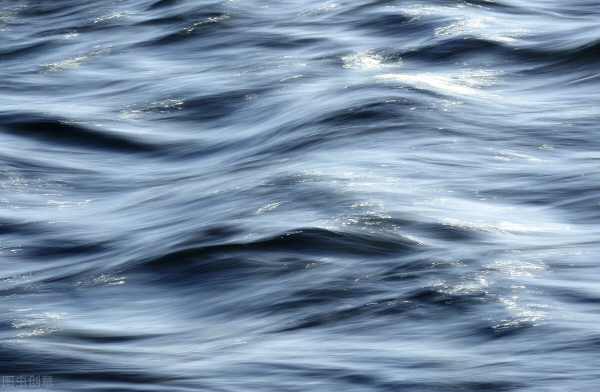 抓住每一天的阳光