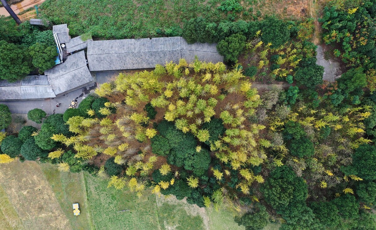 错过也是一种幸福！（深度）