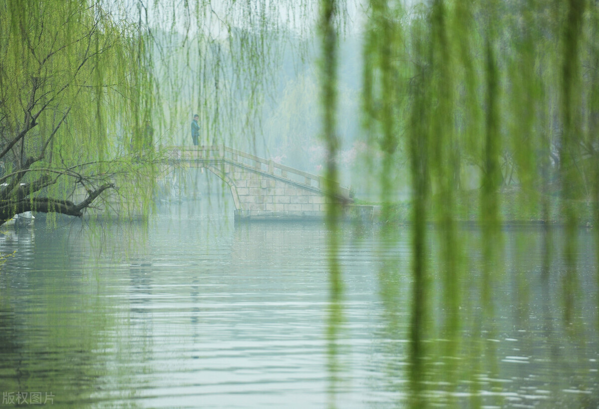 我愿做一只飞舞的蝶