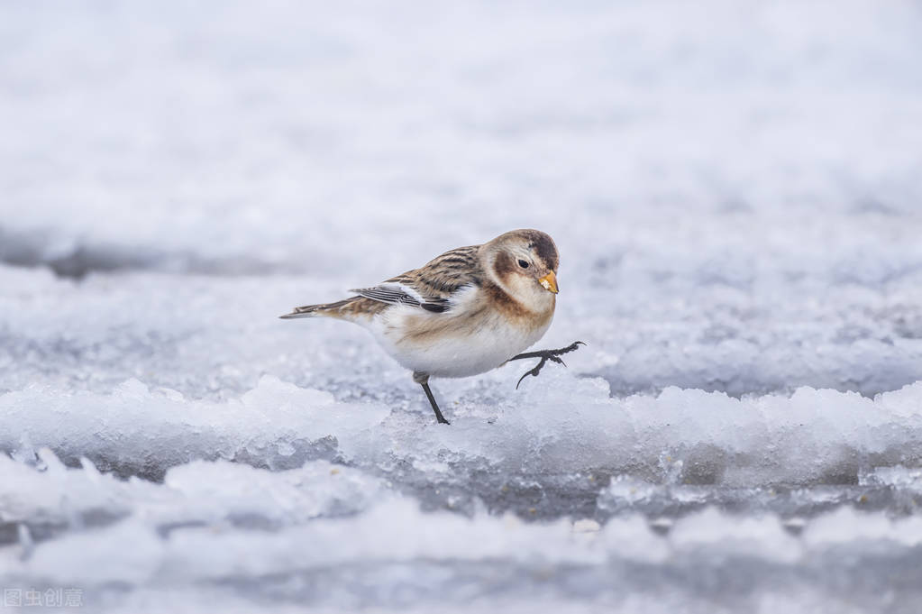 这个季节，一个故事在村头响起