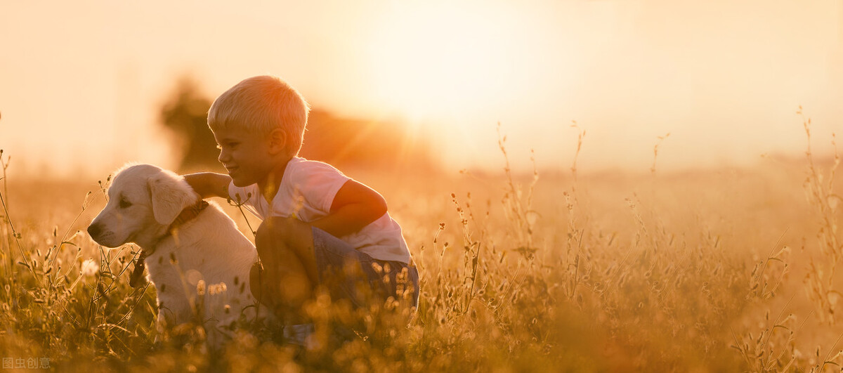 这个世界上，你若安好，便是晴天