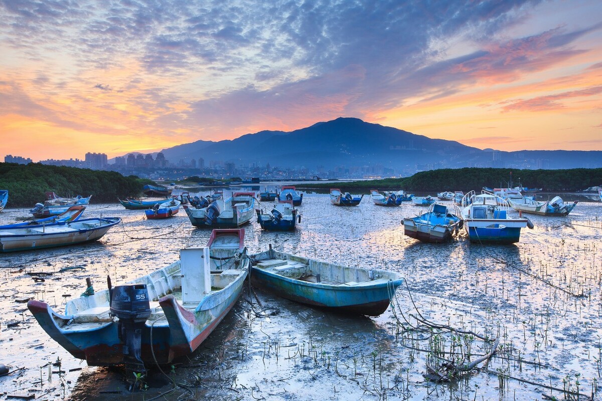 我愿做一只飞舞的蝶