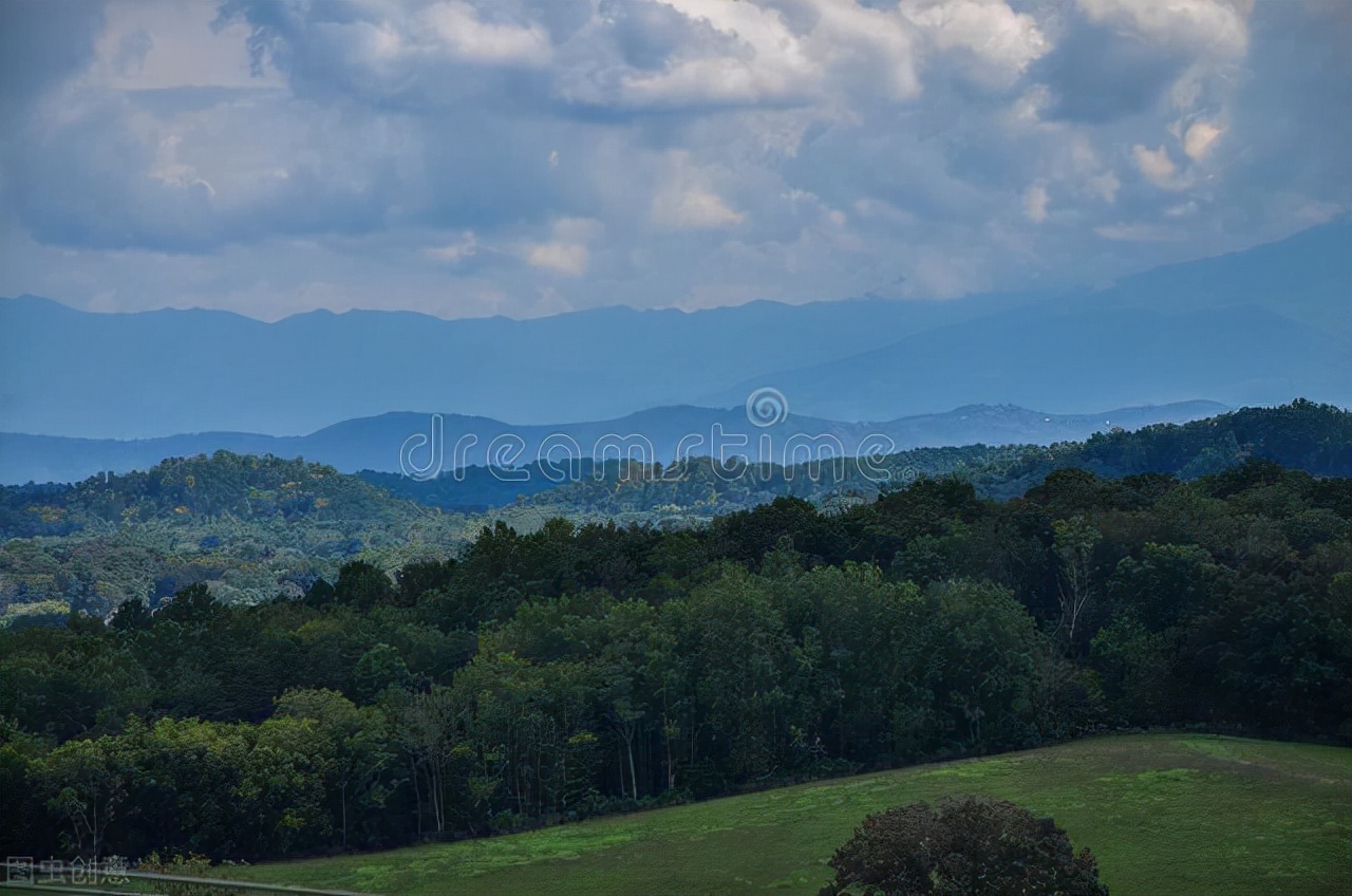 抓住每一天的阳光，你就是最好的自己