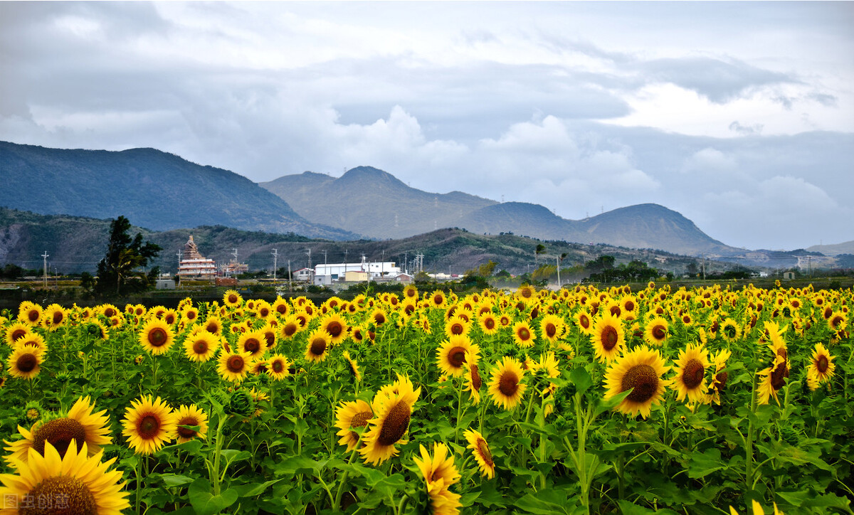 落叶上写秋，回首往事，都已成为过去