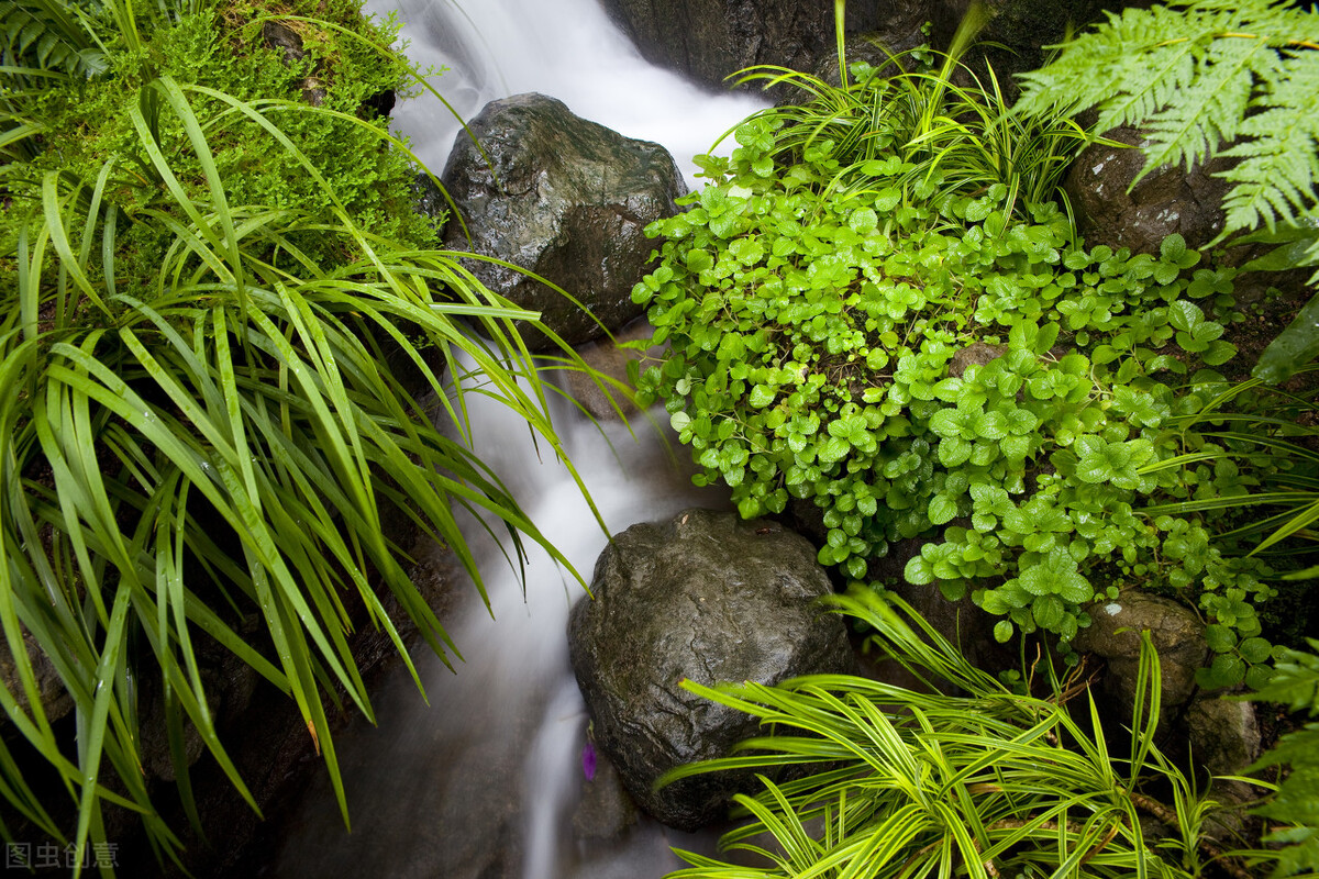 我的生命中有你的影子