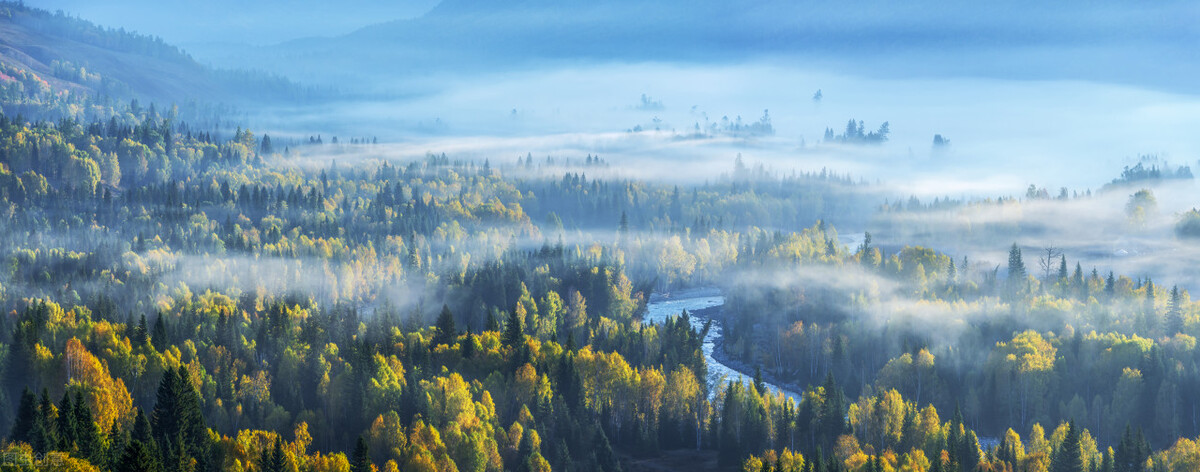 散文：错过也是一种幸福