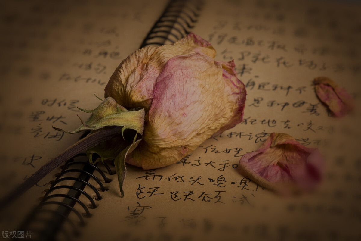 描写大自然的鬼斧神工的作文