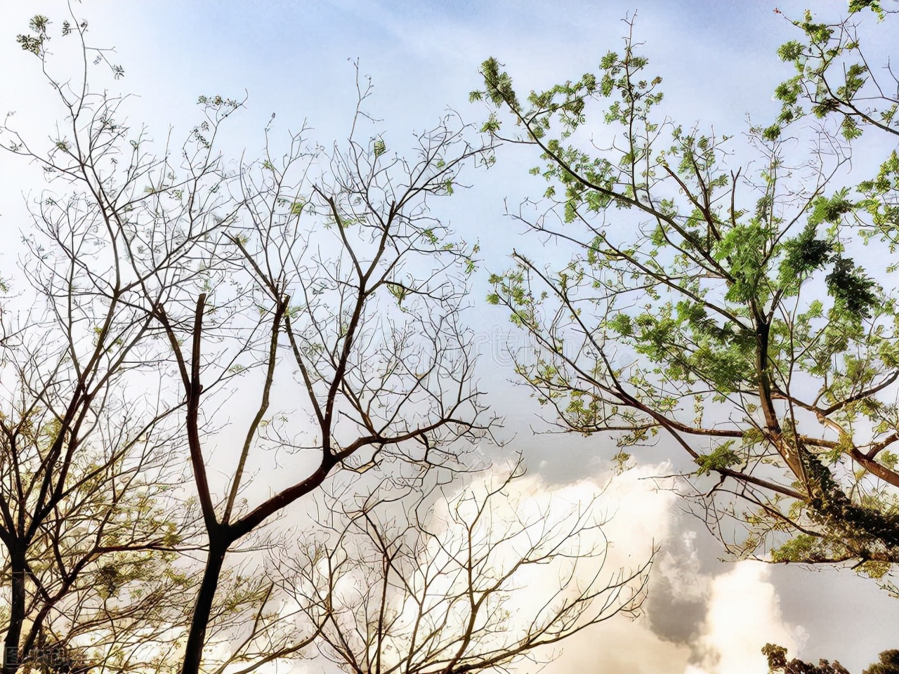 描写冬天的优美段落（冷峻的冬天）