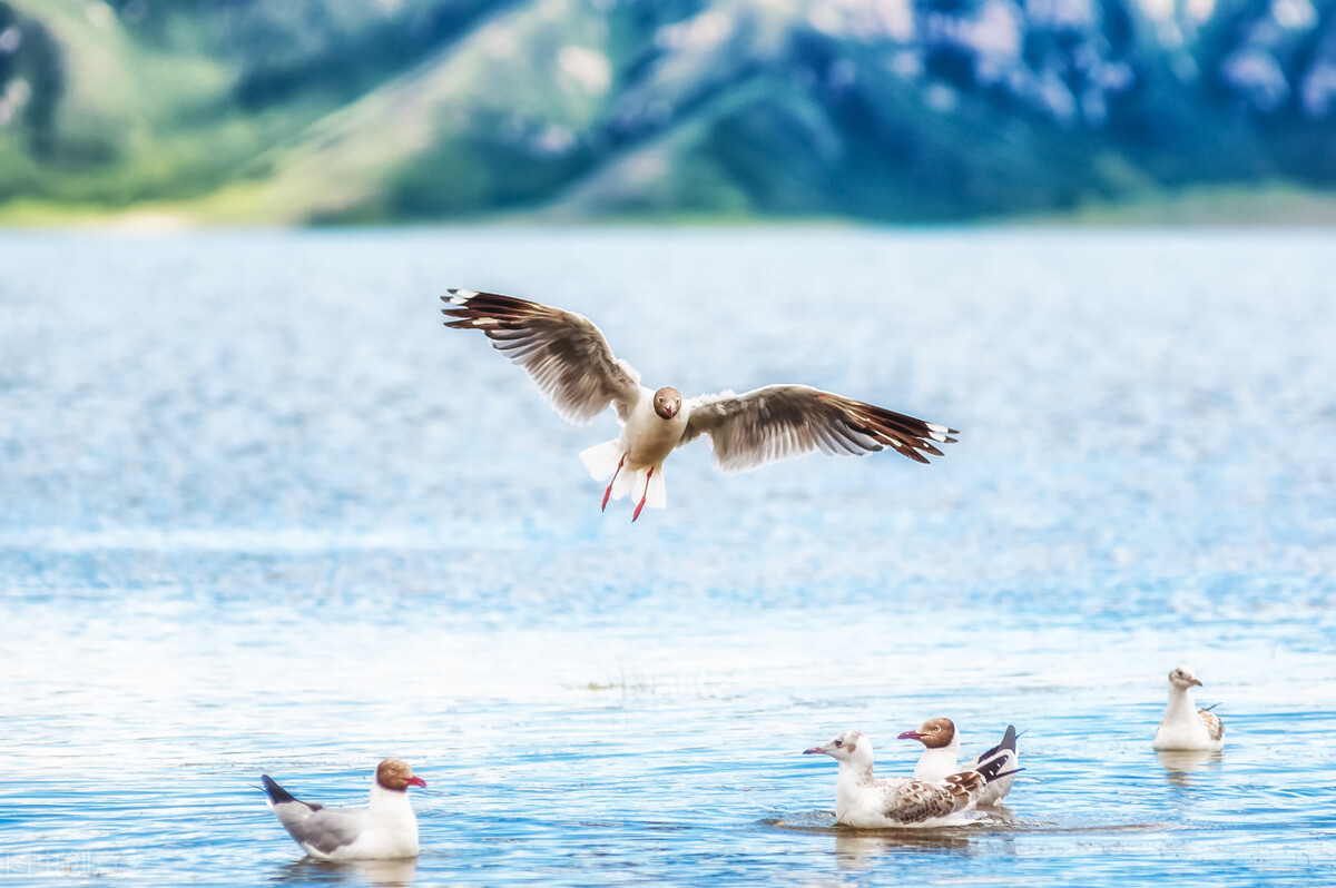 时间会宽容我们的不足