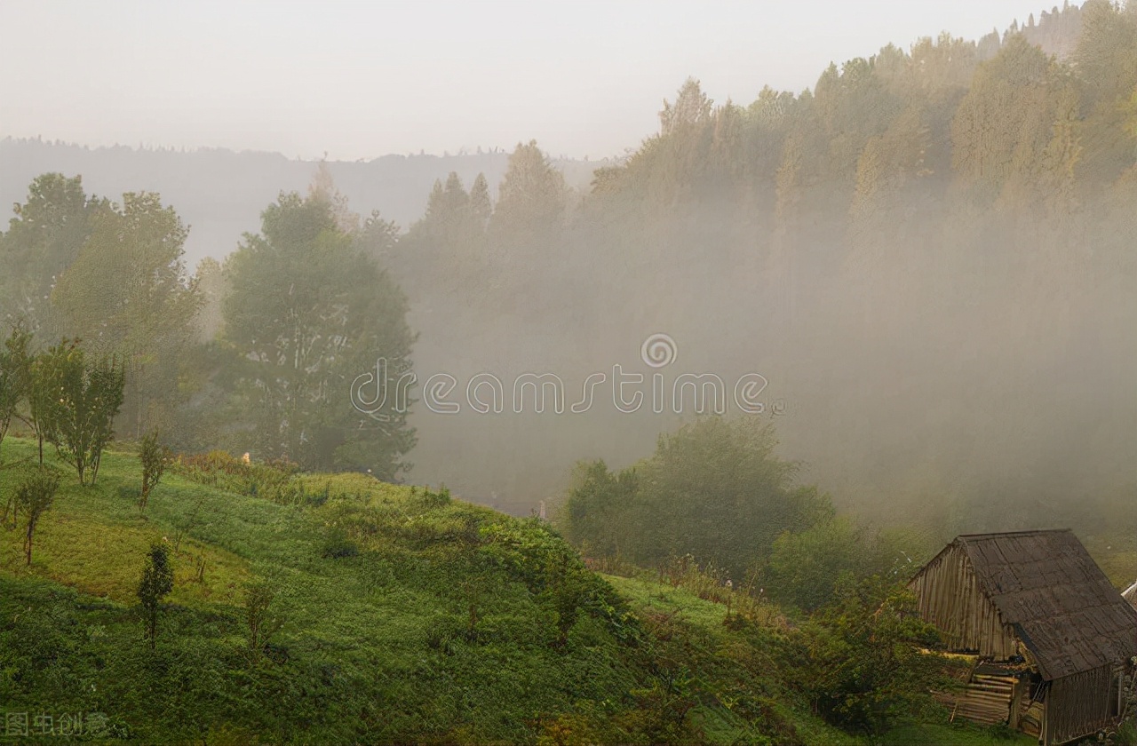 在北方呼啸的大雪下，我等你归来