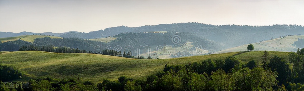 那一场纷纷扬扬的雪花，是否就是你的梦里？（原创）