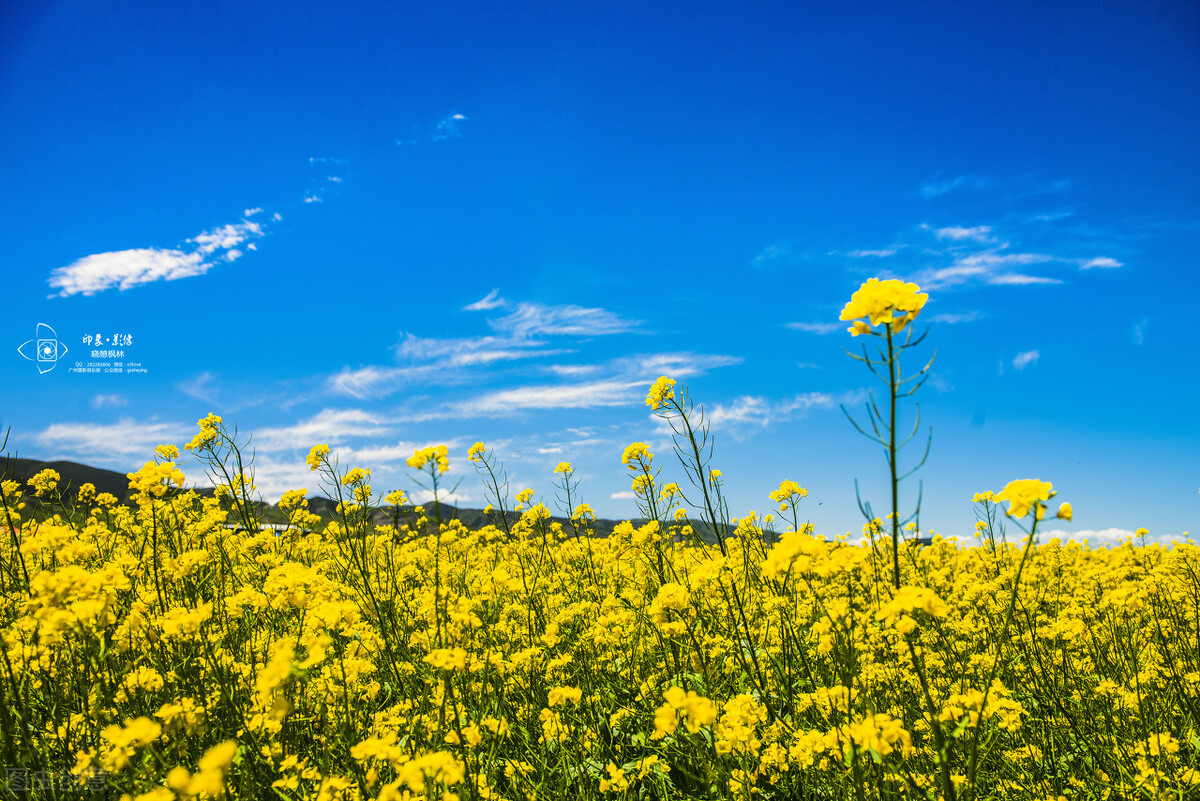 时间会宽容我们的不足