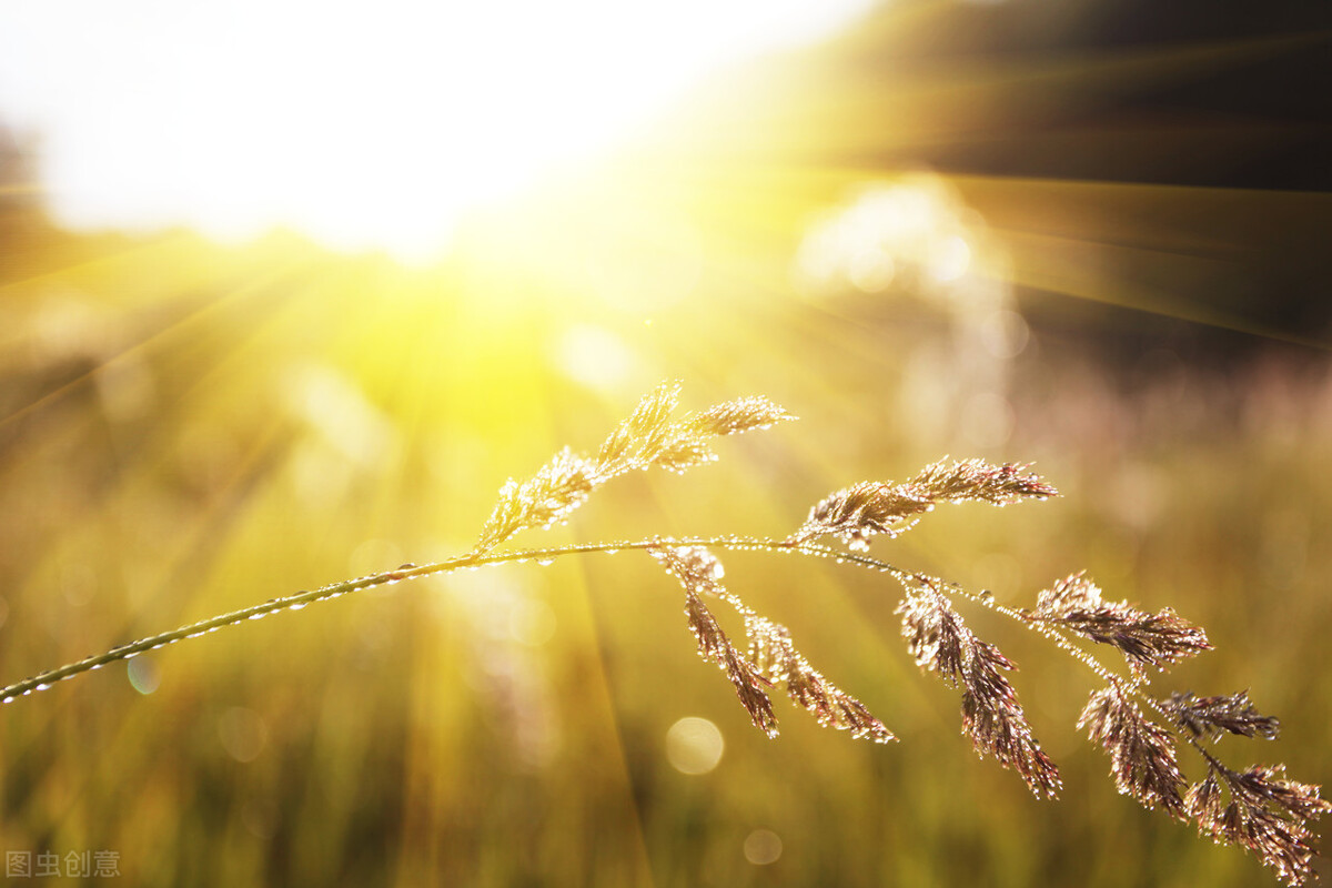 不管你的生活多么糟糕，都要记得微笑