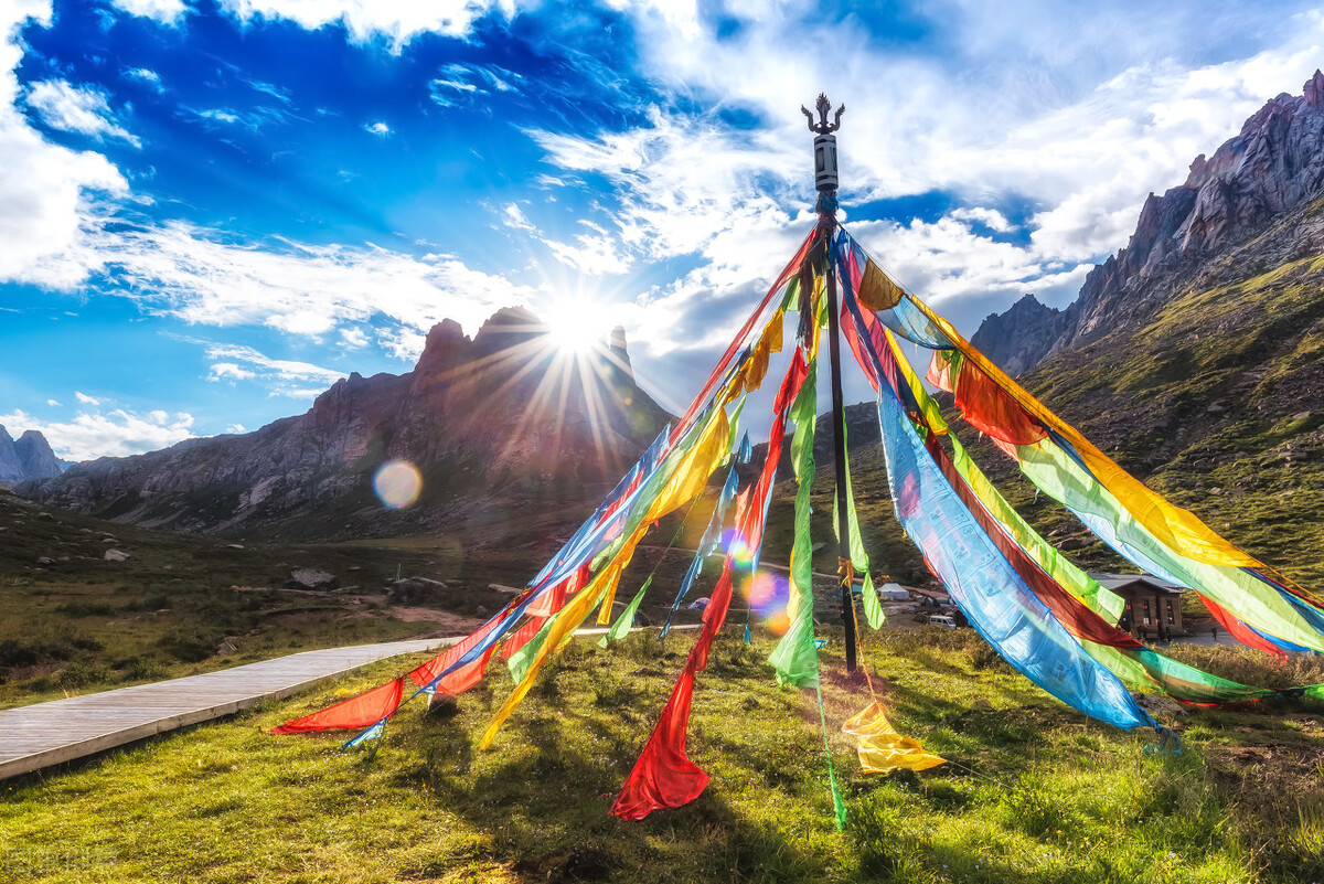 在风中聆听花落的声音：情感美文