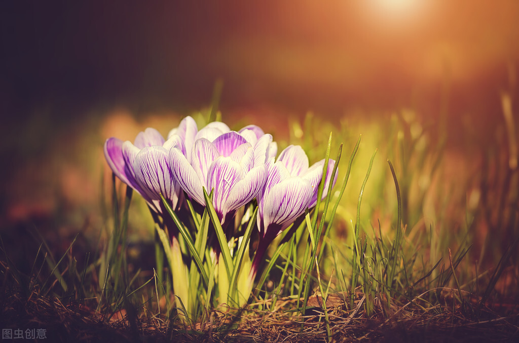 佛说：不以物喜，不以己悲