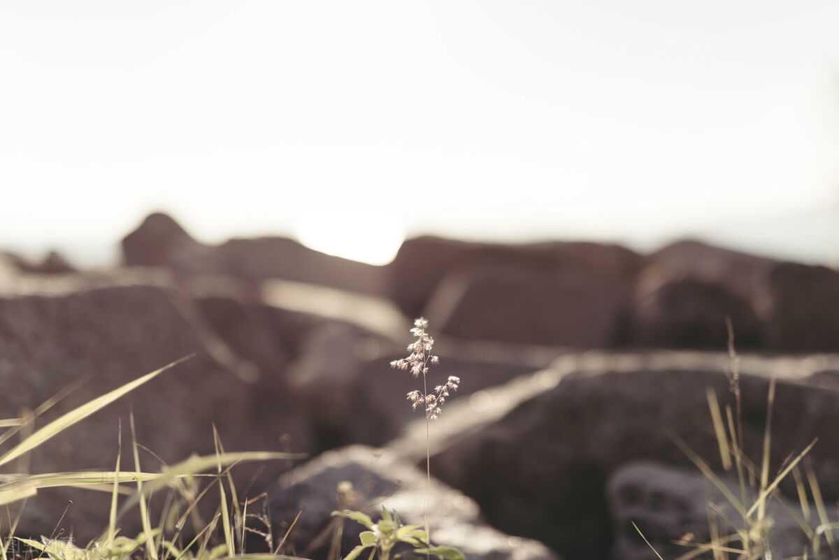 我们在海阔天空里，追逐着生命的弧度