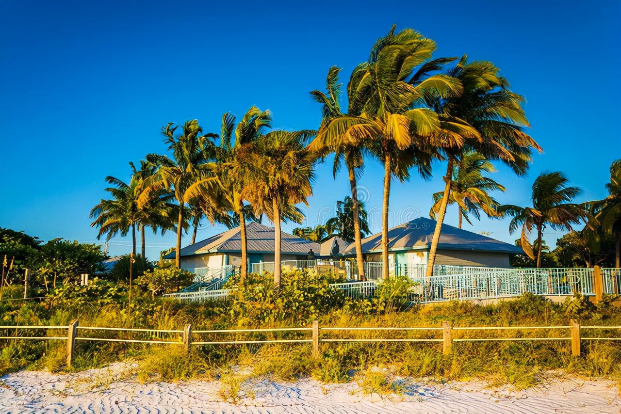 有了爱，才知道什么是真正的生活