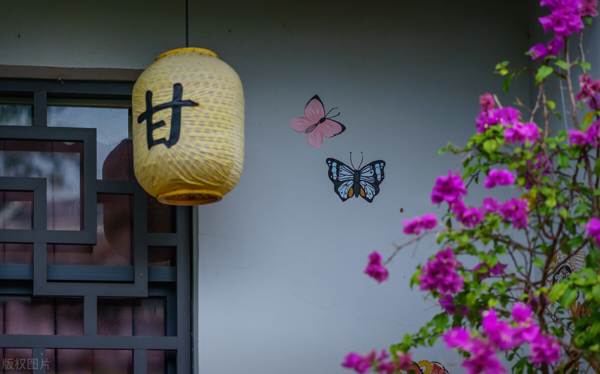 这样的生活，很平淡，也很精彩