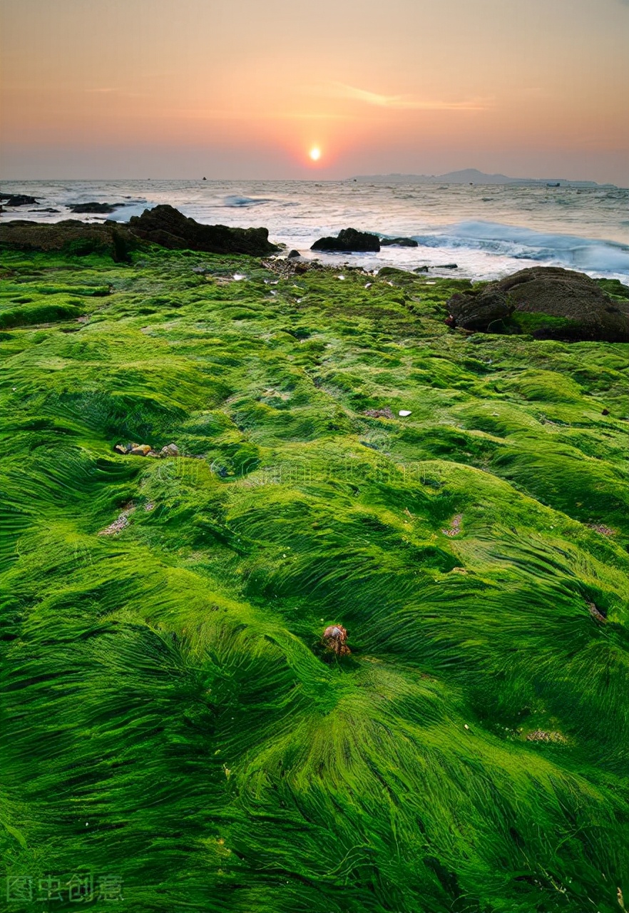 在风中聆听花落的声音：情感美文