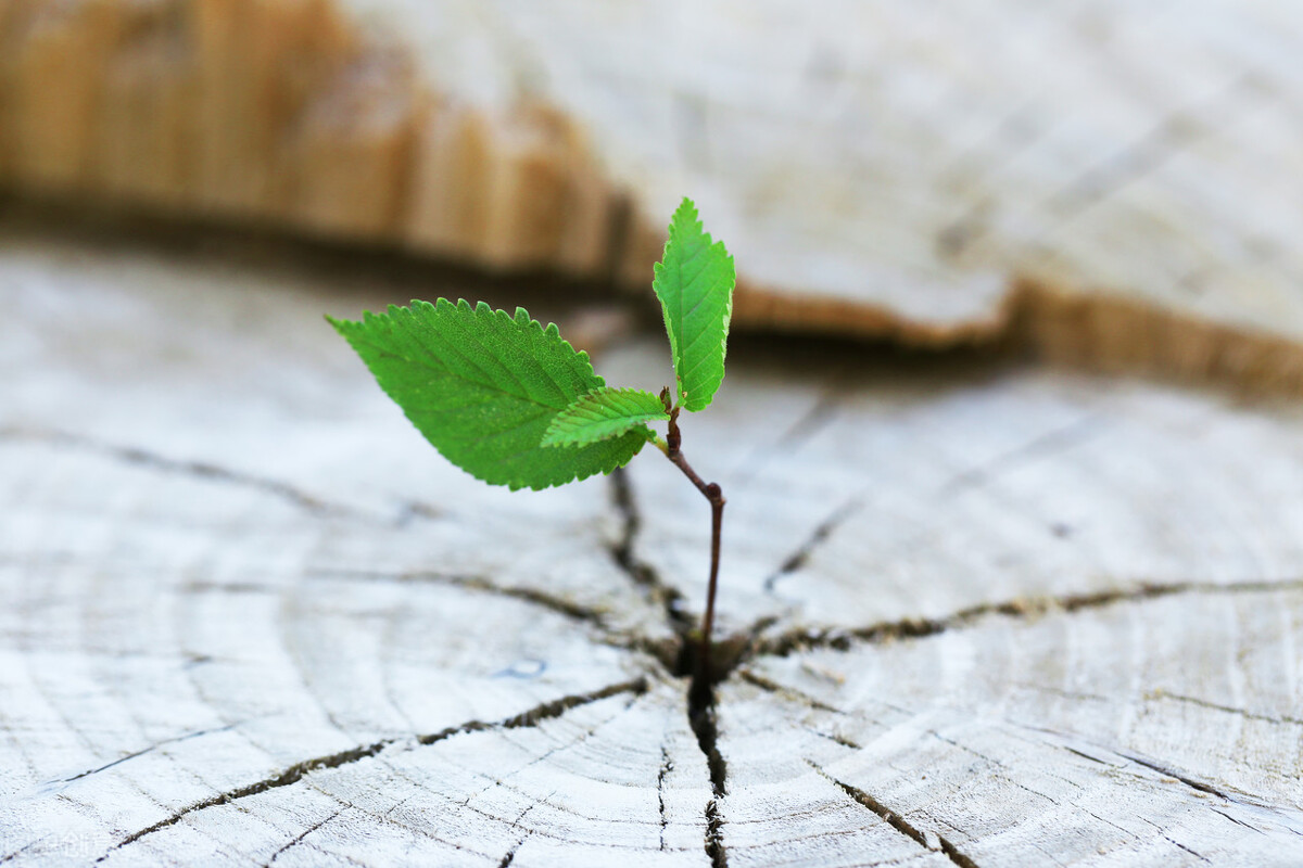 关于过往的文案（叙事文案）