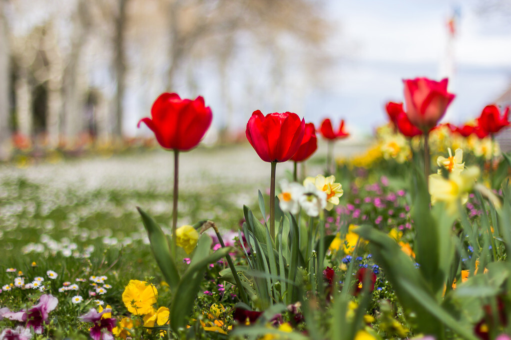 描写夜晚想你的散文（表达寂寞想念）