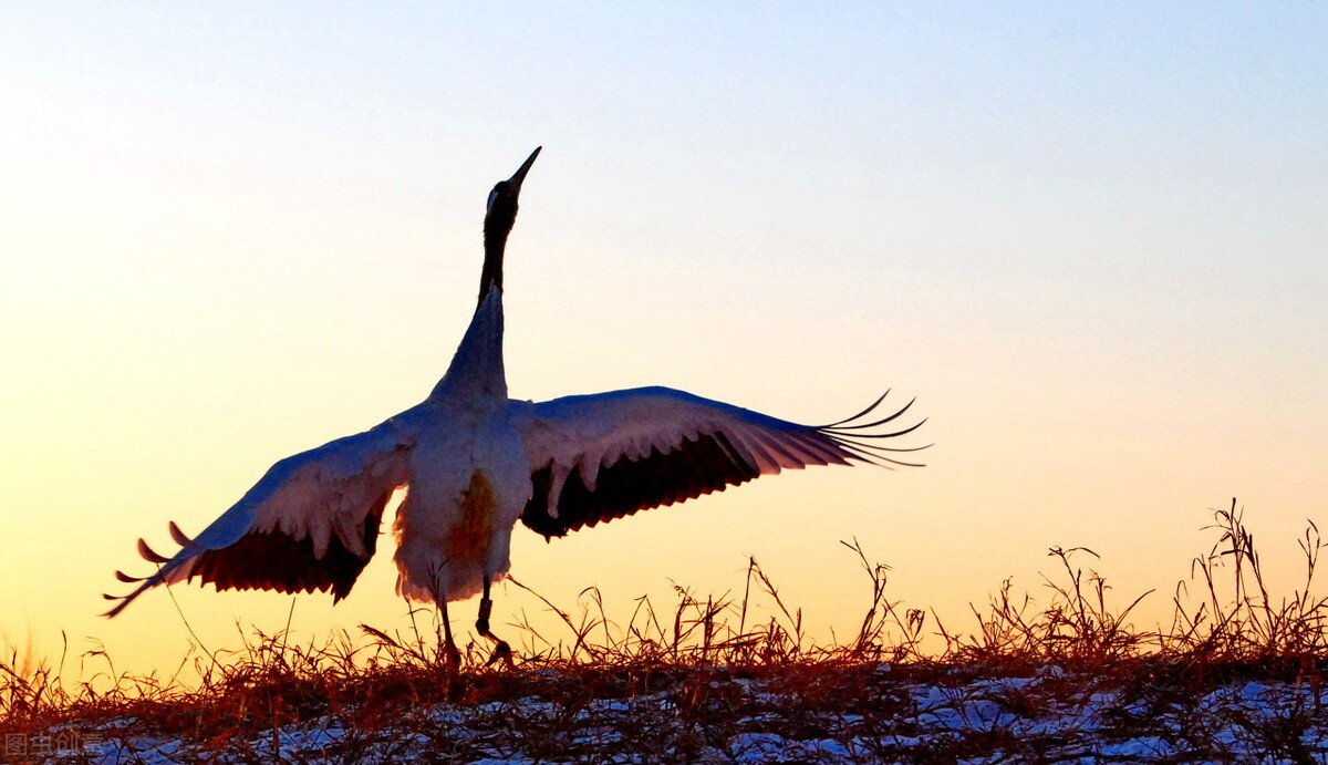 那一场纷纷扬扬的雪花，是否就是你的梦里？（原创）